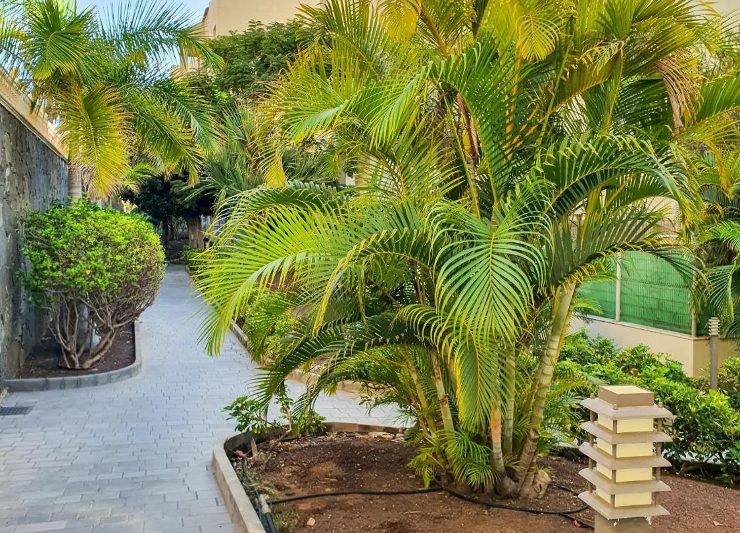 Terraza Sunset In Palm Mar, Pool & Padel Apartment